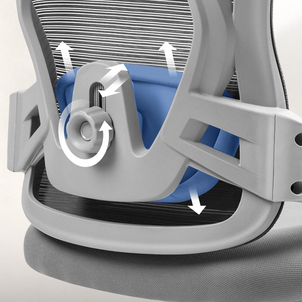 ProCore adjustable lumbar support