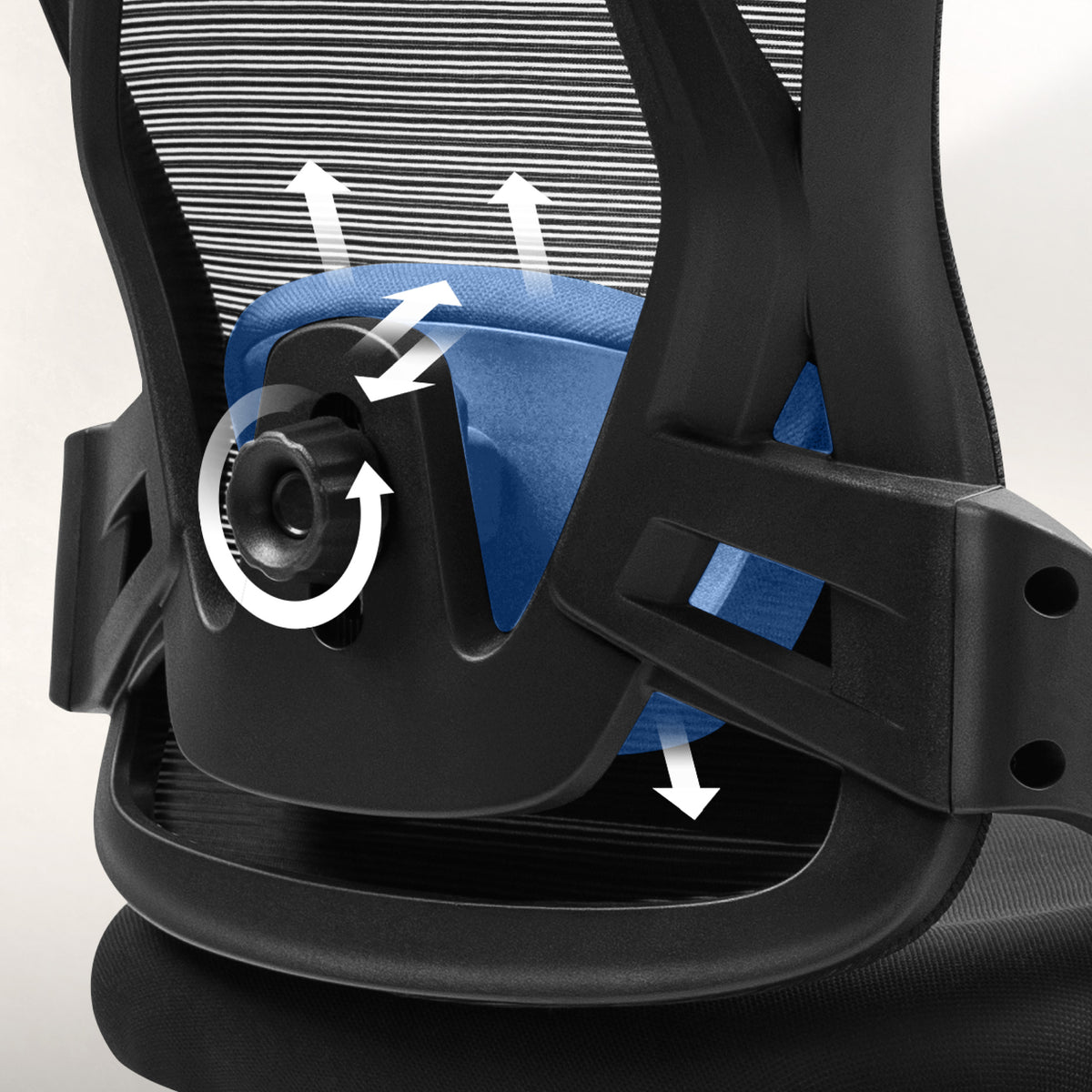 ProCore adjustable lumbar support