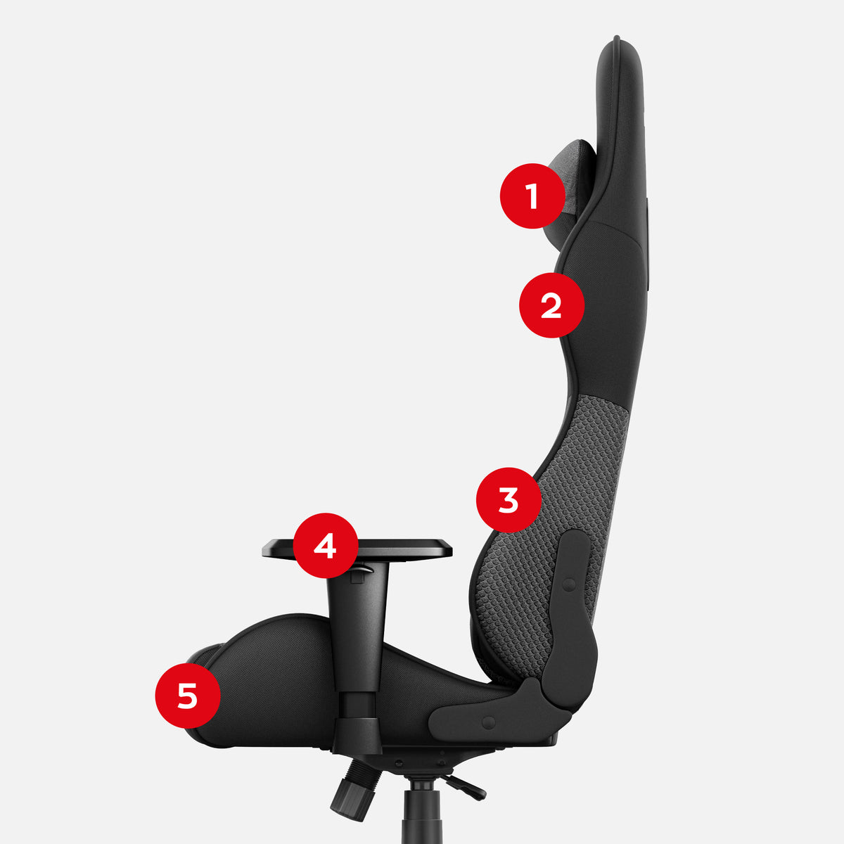 1. Head and neck