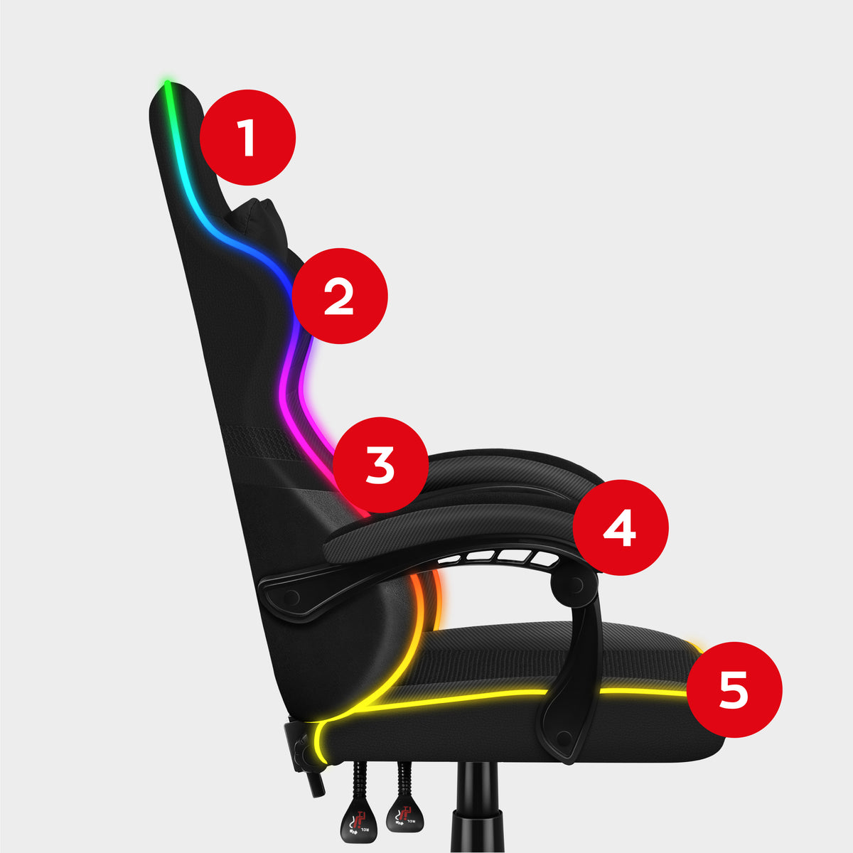 1. Head and neck