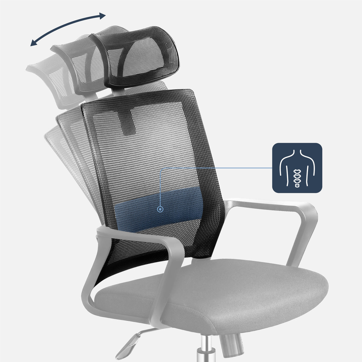 Lumbar support